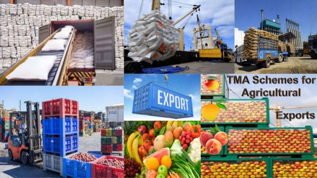 transport-and-marketing-assistance-tma-an-incentive-scheme-for-agricultural-export-3-638